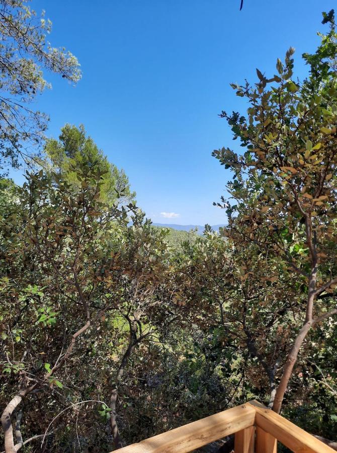 Cabane Dans Les Arbres "La Kaz Aux Cigales" 库尔斯 外观 照片