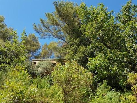 Cabane Dans Les Arbres "La Kaz Aux Cigales" 库尔斯 外观 照片